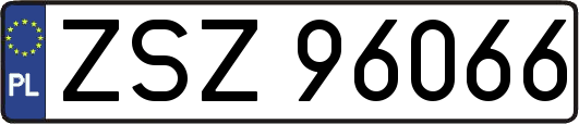 ZSZ96066