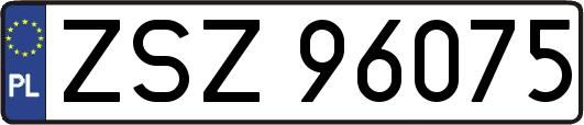 ZSZ96075