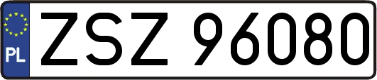 ZSZ96080
