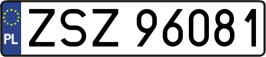 ZSZ96081