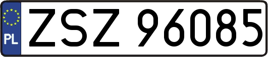 ZSZ96085