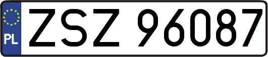 ZSZ96087