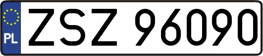 ZSZ96090