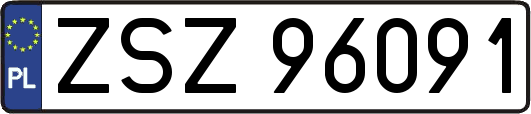 ZSZ96091