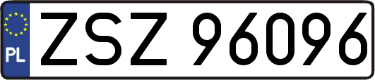ZSZ96096