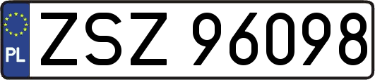 ZSZ96098