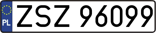ZSZ96099