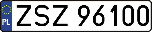 ZSZ96100