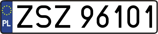 ZSZ96101