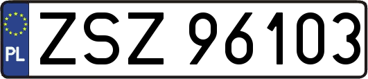 ZSZ96103