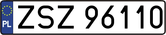 ZSZ96110