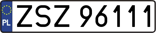 ZSZ96111