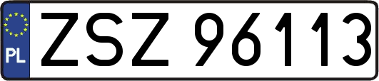 ZSZ96113