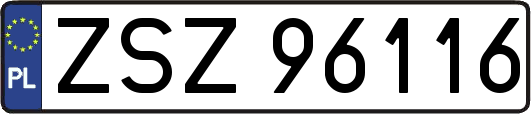 ZSZ96116