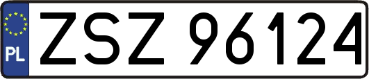 ZSZ96124