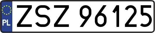 ZSZ96125