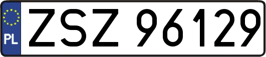 ZSZ96129