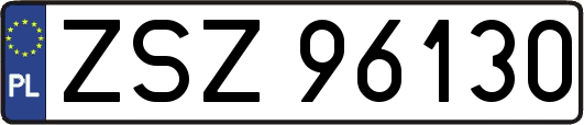 ZSZ96130