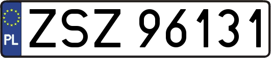 ZSZ96131