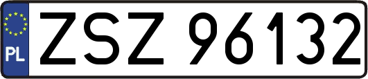 ZSZ96132