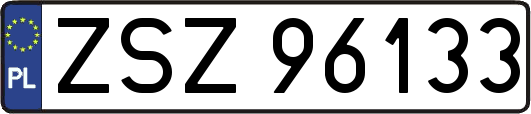 ZSZ96133