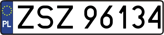 ZSZ96134