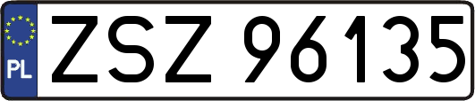 ZSZ96135