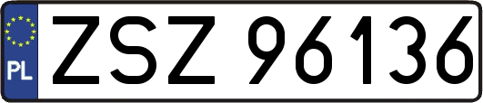 ZSZ96136