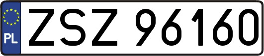 ZSZ96160