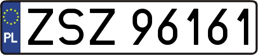 ZSZ96161