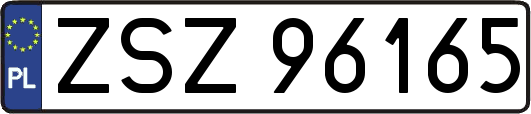 ZSZ96165