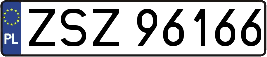 ZSZ96166