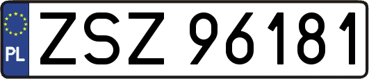 ZSZ96181