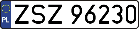 ZSZ96230