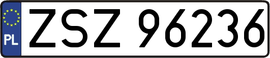 ZSZ96236