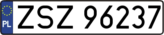 ZSZ96237