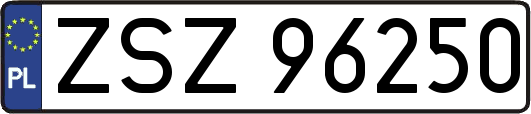 ZSZ96250