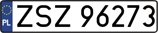 ZSZ96273