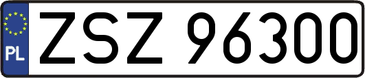 ZSZ96300