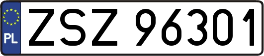 ZSZ96301