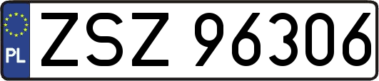 ZSZ96306