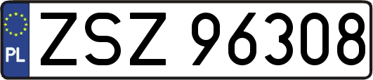 ZSZ96308