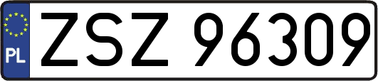 ZSZ96309