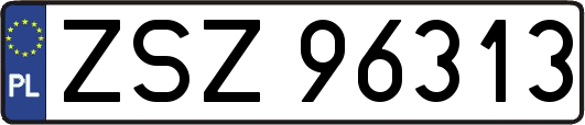 ZSZ96313