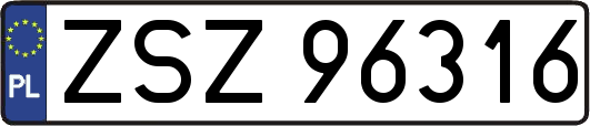 ZSZ96316