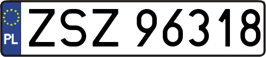 ZSZ96318