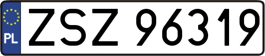 ZSZ96319