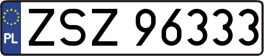 ZSZ96333