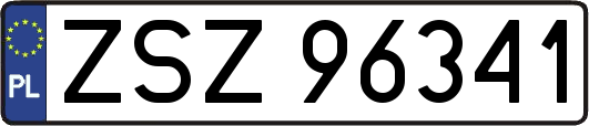 ZSZ96341