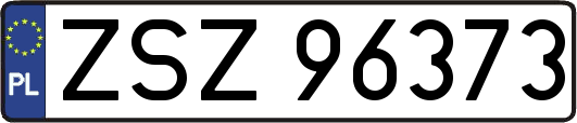 ZSZ96373